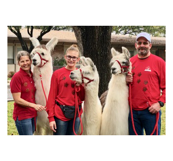Carol, Zoe, and Jeff with llamas