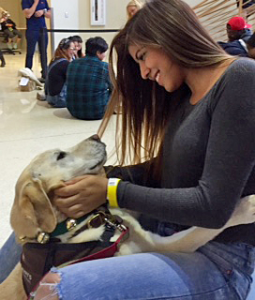 UTSA De-Stress Day