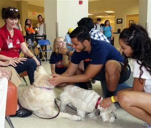 UTSA De-Stress Day